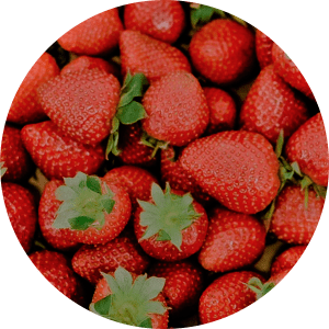 Fraises