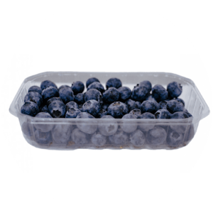 Barquette Plastique 125g