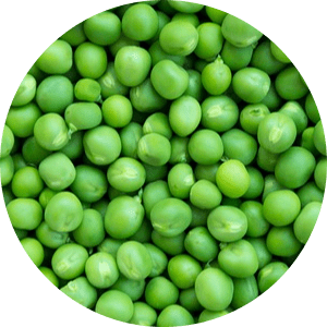 Petits pois écossés