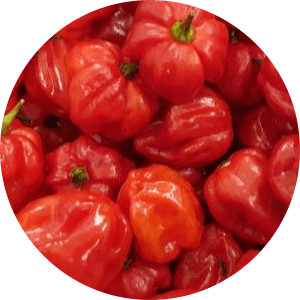 Piments Habanero