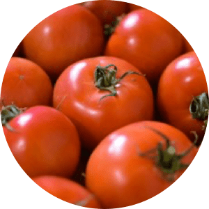 Tomate ronde